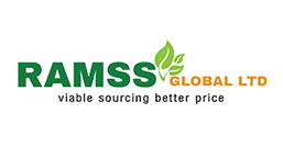 digital marketing services for Ramss company